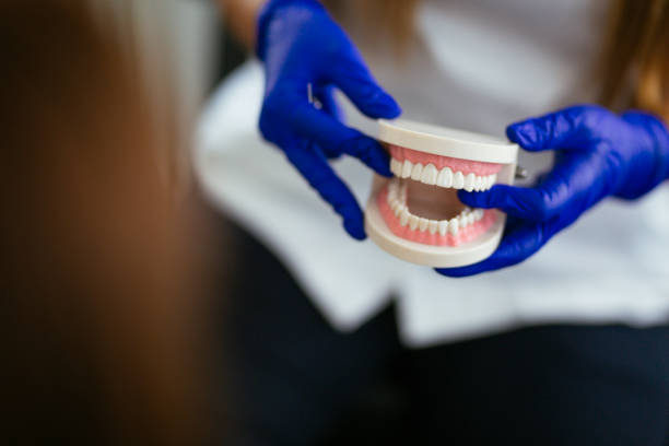 Best Dental Exams and Cleanings  in Magnolia Springs, AL